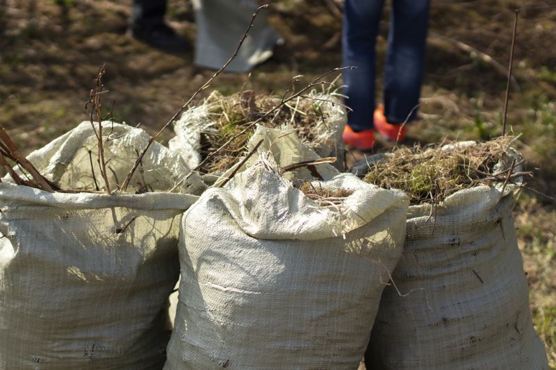 Yard Debris Removal Service