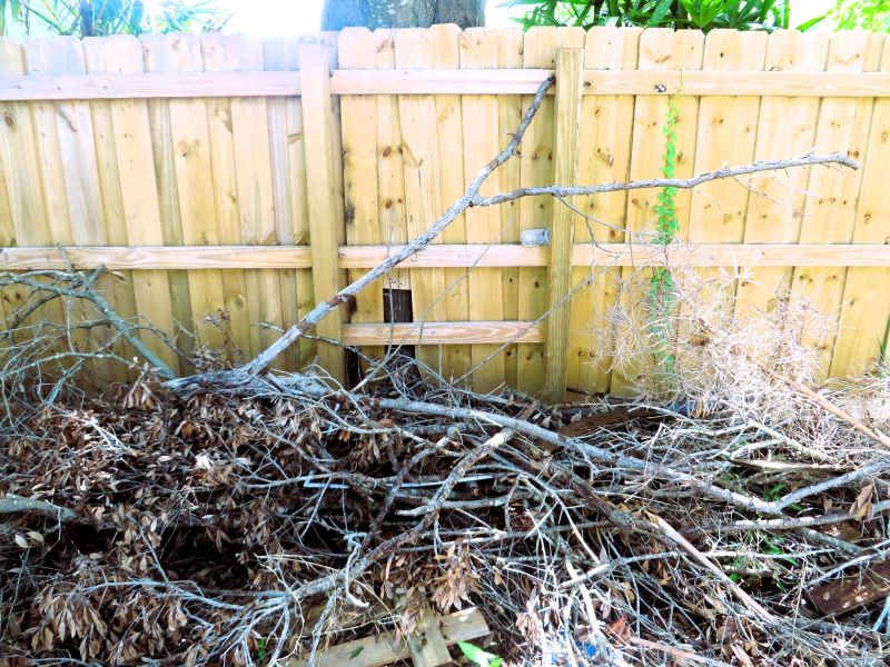 Vegetation Management