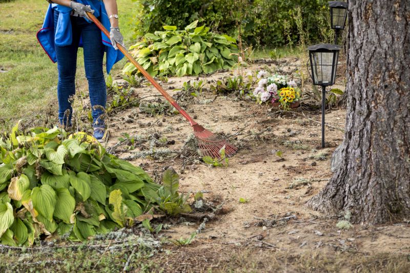 Contact About Brush Removal